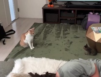 提供：たーにゃ。さん