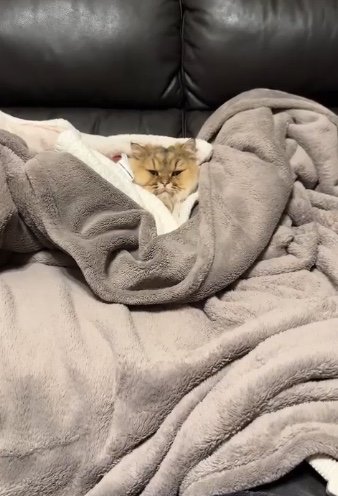 提供：ひなたさん