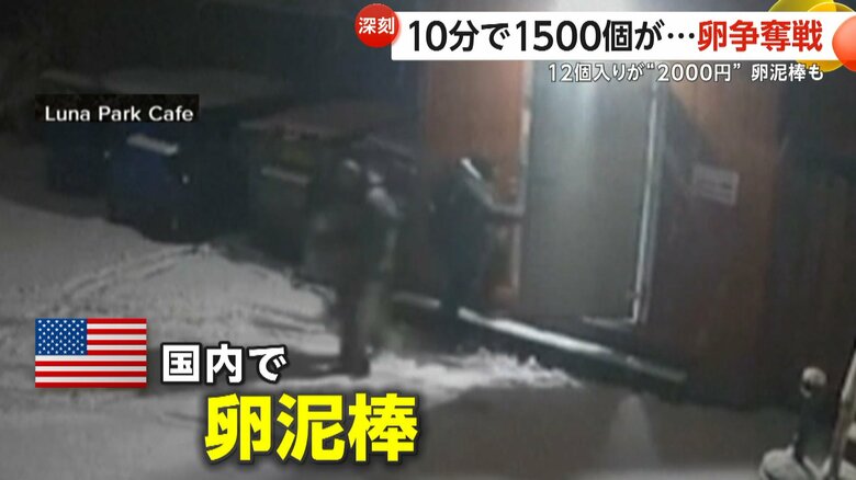 建物から卵を盗み出す“卵泥棒”