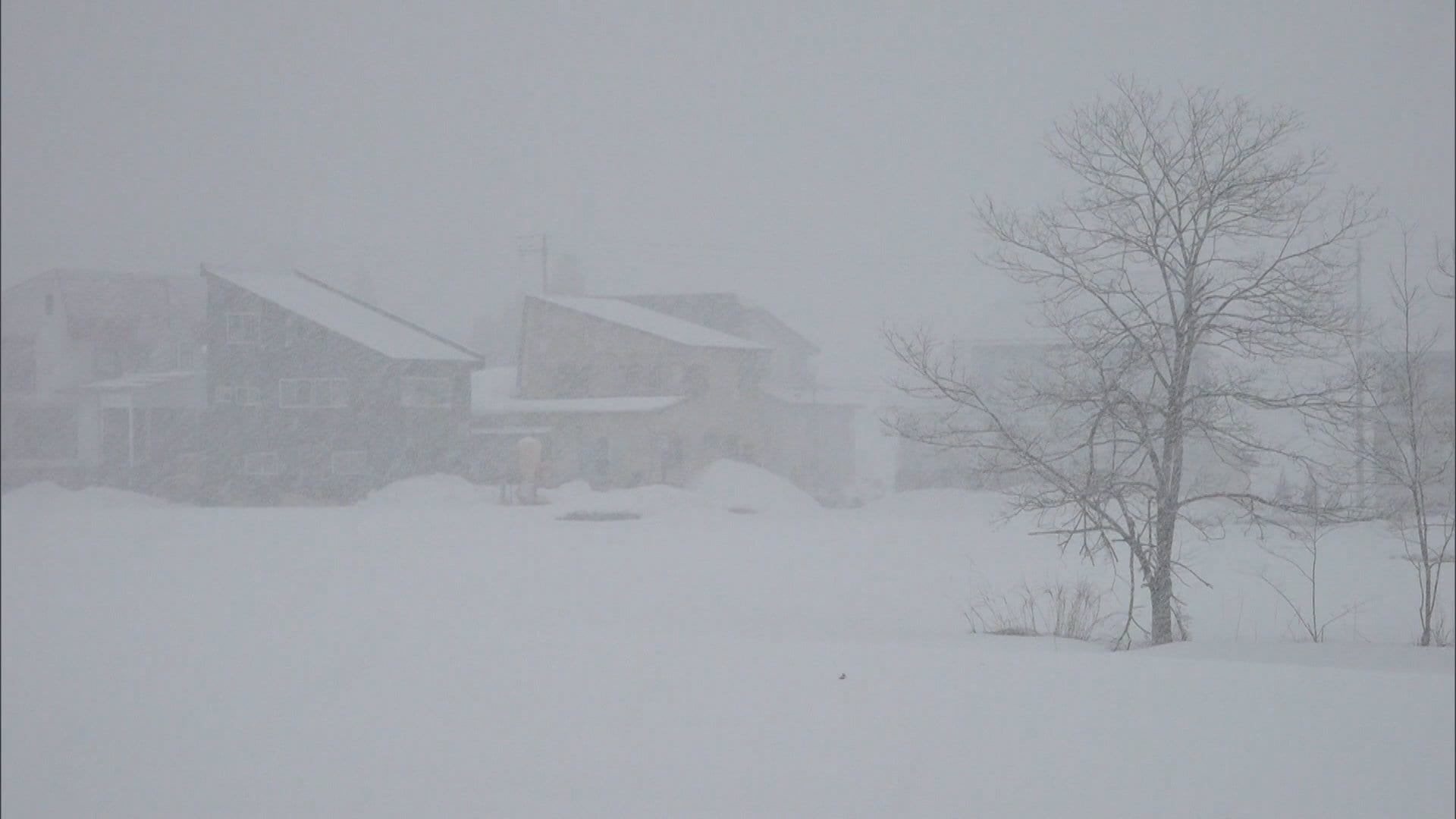 12日は東海道新幹線に遅れ出る見込み　“冬の嵐”日本海側中心に大雪や猛吹雪　空の便欠航も
