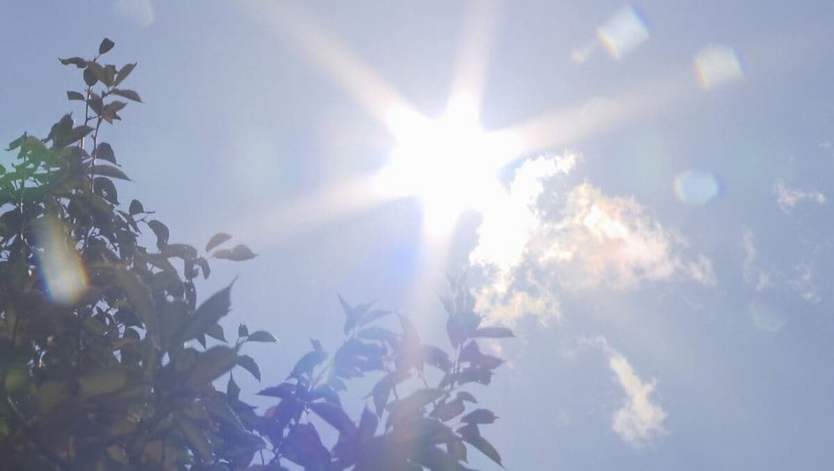 https://fnn.ismcdn.jp/mwimgs/1/c/1200/img_1c0d5b0d821af8548b0f5b44c421d9c644538.jpg