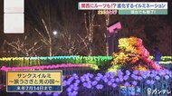 1670万色のフルカラーで点灯可能　進化するイルミネーション　「閑散期の冬」の売り上げアップにも貢献