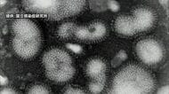 インフルエンザ感染者が7週連続で増加　「警報」発令中の福井県　引き続き予防の徹底を