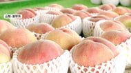 今年はモモの「当たり年」例年より約2割安　見分けるコツは“白い点々”シュガースポットに注目