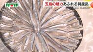 五島列島の自慢の味など一堂に 水産加工品や工芸品集め「観光とよか産品まつり」 ばらもん凧の絵付け体験ブースも