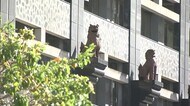 沖縄14人感染 3日連続で前週同曜日下回る