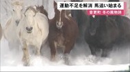 1トン超の馬が雪原を駆け抜ける