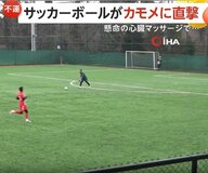 「足、口、目が動き始めた」サッカー試合中にボールが空飛ぶカモメに直撃　選手の“心臓マッサージ”で奇跡の回復　トルコ　　