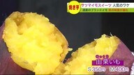 ついに北海道産「ブランドイモ」登場！　進化するサツマイモスイーツ 【北海道発】