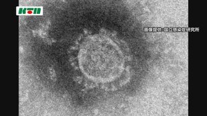 【続報】新型コロナウイルス 長崎県内で12例目の感染確認 壱岐市の70代女性