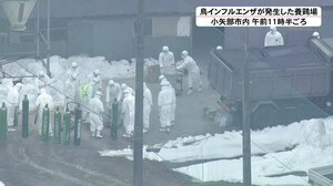 小矢部市の養鶏場で鳥インフルエンザ 14万羽を殺処分