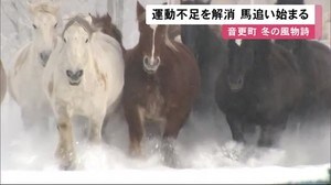 1トン超の馬が雪原を駆け抜ける