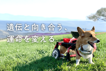 遺伝病検査の普及により、ペットの遺伝病リスク低減が前進