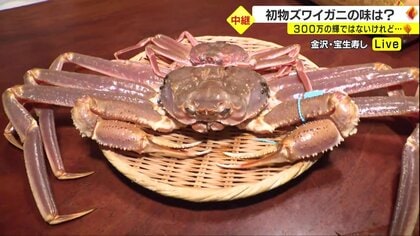 待ちに待ったズワイガニ漁解禁！初物をしゃぶしゃぶすると身が花のように♪ 11月が狙い目の“カニ”を食べに急げ！