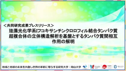 珪藻光化学系Iフコキサンチンクロロフィル結合タンパク質超複合体の立体構造解析を基盤とするタンパク質間相互作用の解明〔静岡大学, 岡山大学 ,京都大学〕