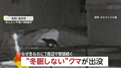 なぜ冬なのに？“冬眠しない”クマがこども園周辺に出没…緊張続く　県「食べ物がある限り冬眠せず」　家の外にゴミなど放置しないよう呼びかけ　秋田・湯沢市