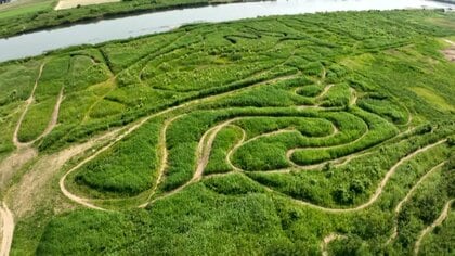 「まるでナスカの地上絵」無許可のオフロードバイクコースが茨城・古河市の利根川河川敷にも　河川事務所は注意呼びかけ