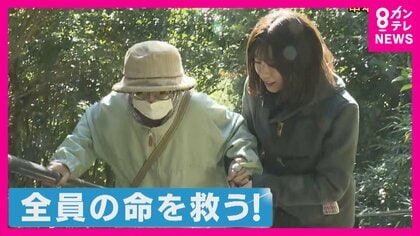 到達時間までに避難できない高齢者をどう救うか　「最初の津波が6分で到達」和歌山・串本町の訓練で89歳女性は避難場所まで「12分」　「乗り物があったら…」との声　車避難を容認する自治体も