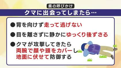 クマと遭遇したら…県が呼びかけ　走って逃げない、ゆっくり後ずさり、両腕で顔や頭をカバー　岩手県