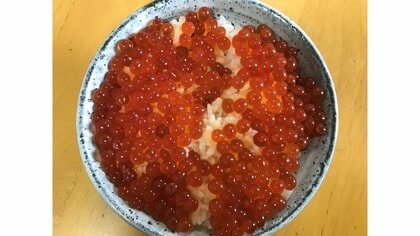 晩御飯にイクラの醤油漬けはどう？アニサキス対策も兼ねた生筋子からのおいしい作り方