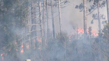 平成以降“国内最大規模”の山林火災から1年　今も26世帯が仮設住宅で生活　岩手・大船渡市