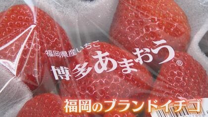 存在しない『栃木県産あまおう』名乗り“Ⅹ”に投稿 個人情報を騙し取る