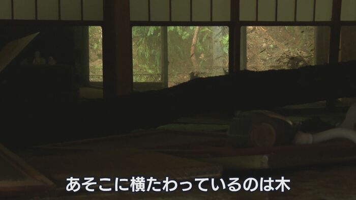 寺の中に流れ込んできた大木