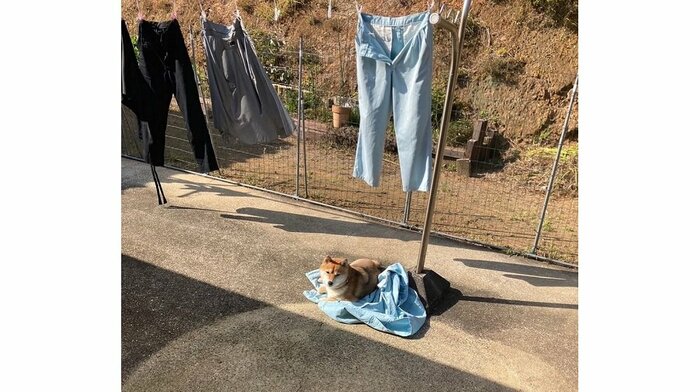 作業着が落ちてしまった時も…