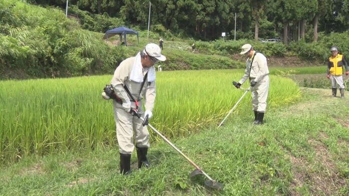花角知事