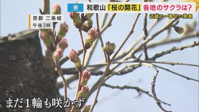 京都はまだこれから