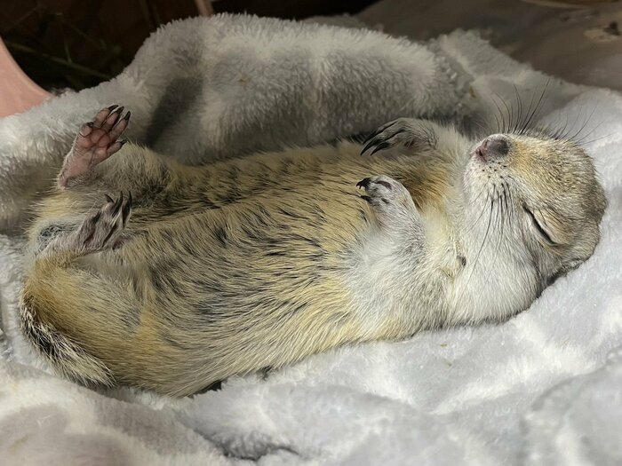 ぐっすり