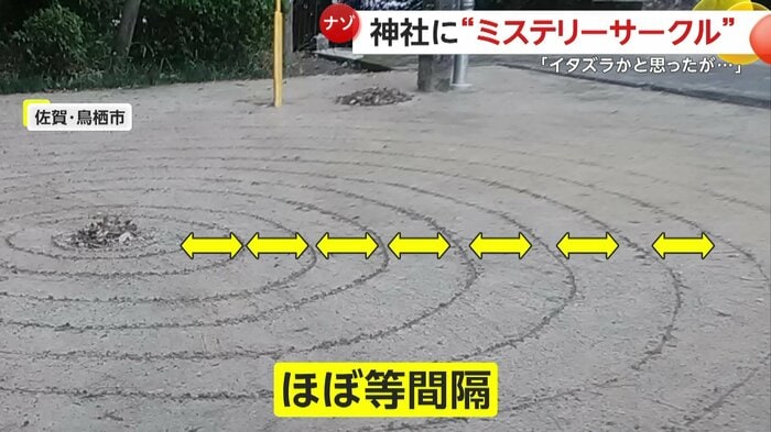 精巧に描かれていたミステリーサークル(関係者提供)