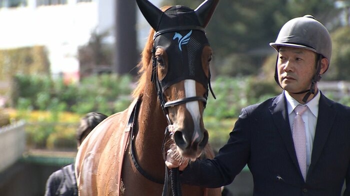 母はオークス馬ヌーヴォレコルトのセナスタイル