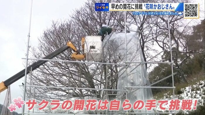 高所作業車を使ってビニールを取り付ける濱谷さん