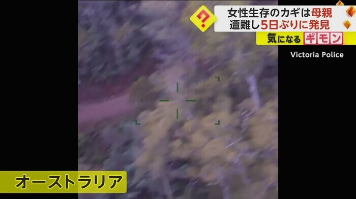 森を上空から撮影した映像が映っている