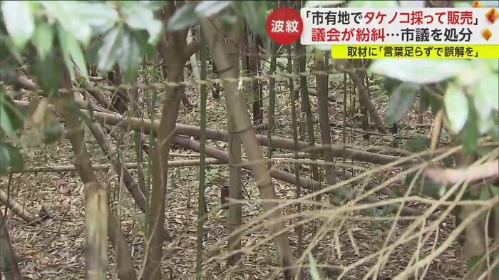 現場の竹林はかなり荒れた状態