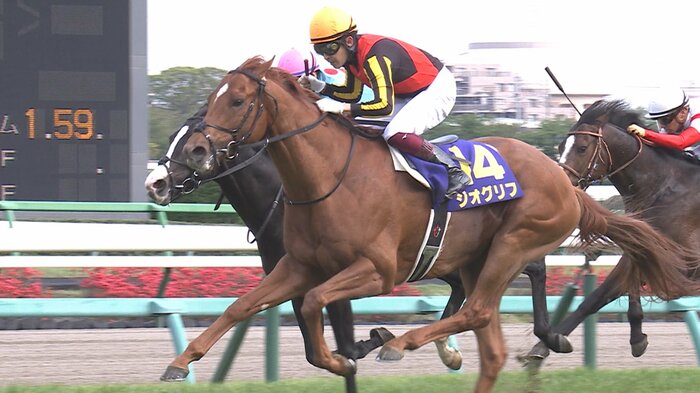 皐月賞を制したジオグリフ