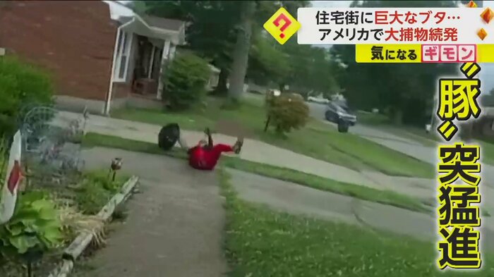 (Louisville Metro Police Department)