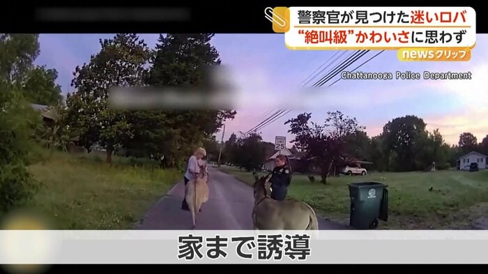 ロバを誘導する警察官
