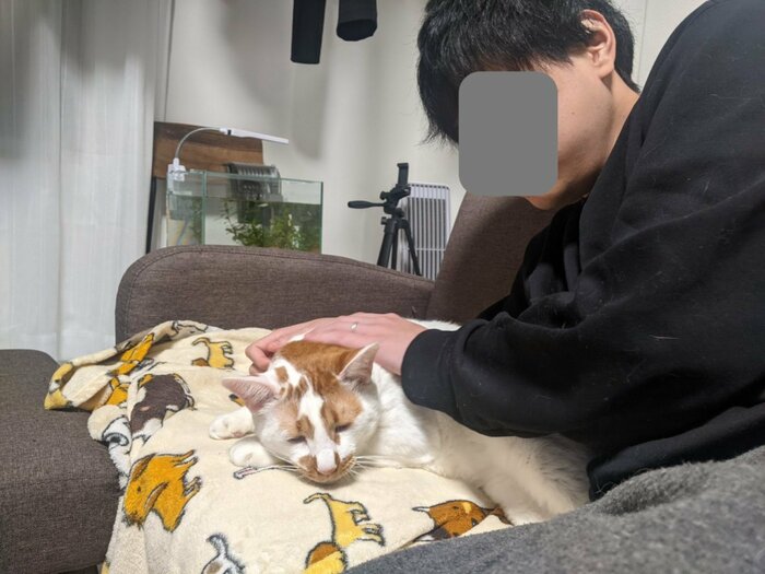 提供:tknさん