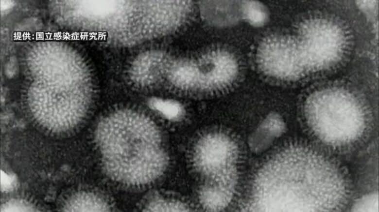 インフルエンザ感染者が7週連続で増加　「警報」発令中の福井県　引き続き予防の徹底を｜FNNプライムオンライン