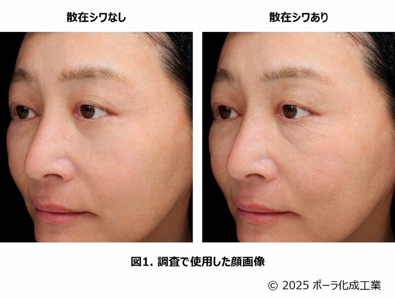 シワができると認識されていない部位のシワに着目「散在シワ」による肌やその人の印象への影響を発見