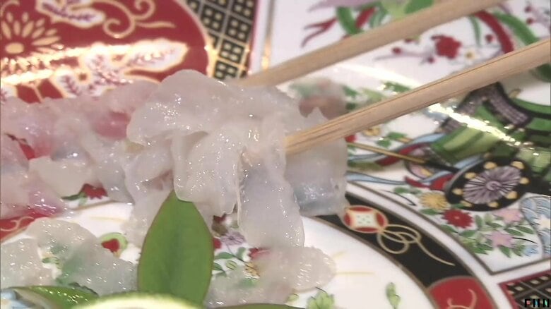 物価高のなか高級魚フグが“お手頃”価格で人気　寿司店「安定した漁獲量」「規制緩和で届け出不要」で取り扱い拡大｜FNNプライムオンライン