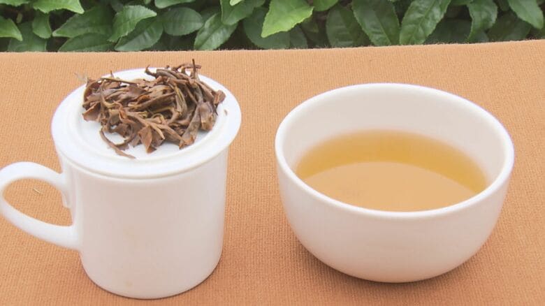 やさしい甘みとまろやかな味わい…今再注目の『和紅茶』愛知県新城市・鈴木製茶の“日本を感じる紅茶”とは|FNNプライムオンライン