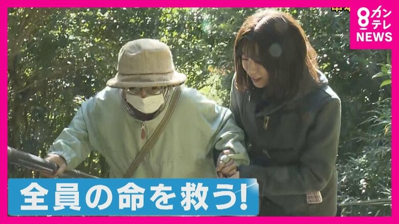 到達時間までに避難できない高齢者をどう救うか 「最初の津波が6分で到達」和歌山・串本町の訓練で89歳女性は避難場所まで「12分」 「乗り物があったら…」との声 車避難を容認する自治体も|FNNプライムオンライン