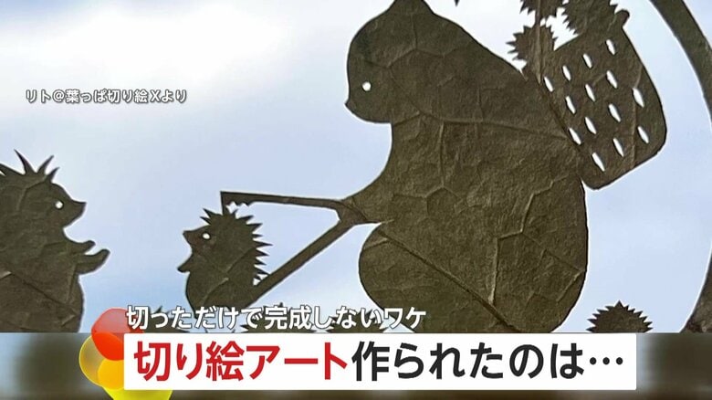 “葉っぱ切り絵”の超繊細アートが話題！クマにカエル…「葉っぱが立たないと作り直し」風景と撮影して完成｜FNNプライムオンライン