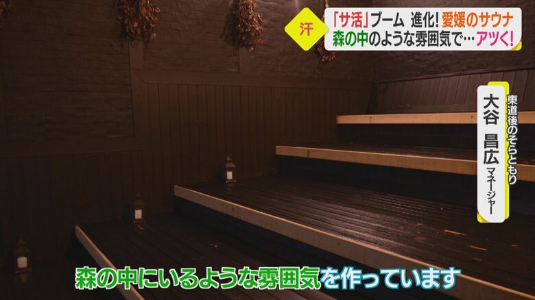 森の中のような男性サウナ室