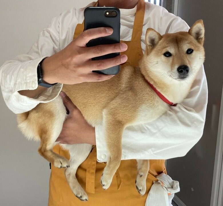 家の中の鏡で撮影したときの様子　特に反応しなかったそう