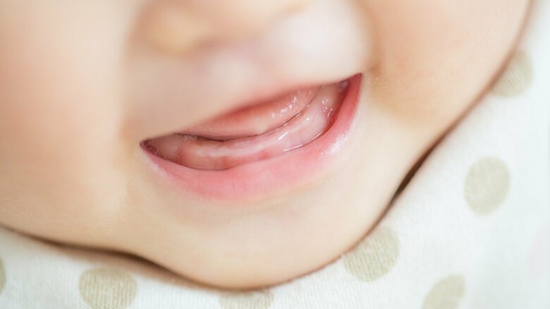 生後19～31カ月での接触は避けるべき（画像はイメージ）