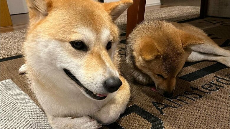 福ちゃんが体勢を合わせてくれることも